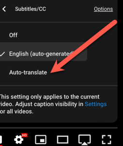 Auto Translate You Tube Video Captions