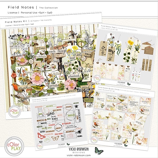 Scrapbook Collection by Vicki Robinson  Preview Image