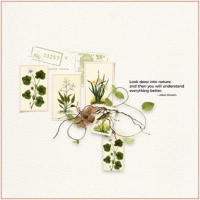 Field Notes Digital Scrapbook Collection by Vicki Robinson Sample Layout