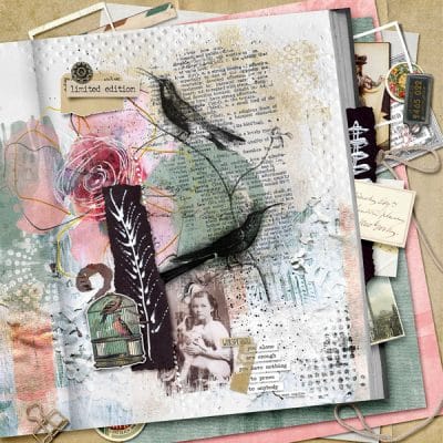 Artful Expressions 01 Digital Art Collection by Vicki Robinson sample by Ona