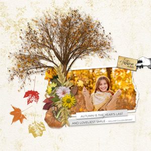 Artful Memories Autumn Digital Art Collection by Vicki Robinson Sample by Zanthia