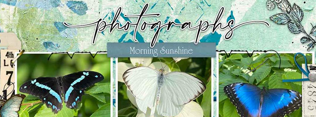 vicki-robinson-everyday-scrapbooking-feature-image ""