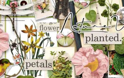 Blog Create Stunning Digital Art with Field Notes Nature-Inspired Collection