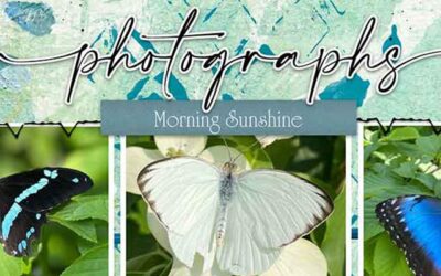 Telling Your Story Everyday Scrapbooking Inspiration: The Art of Documenting Your Real Life